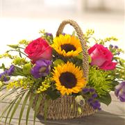 Zest Basket
