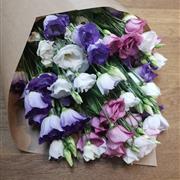 Simply Lisianthus